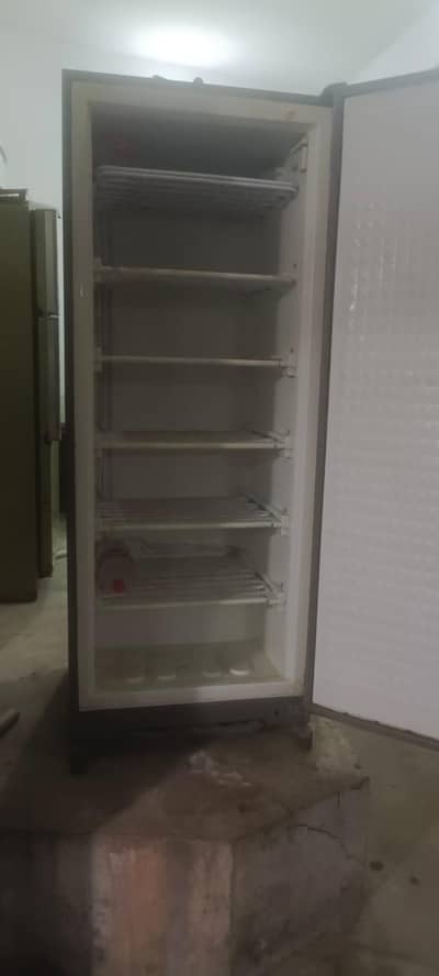 Vertical Deep Freezer