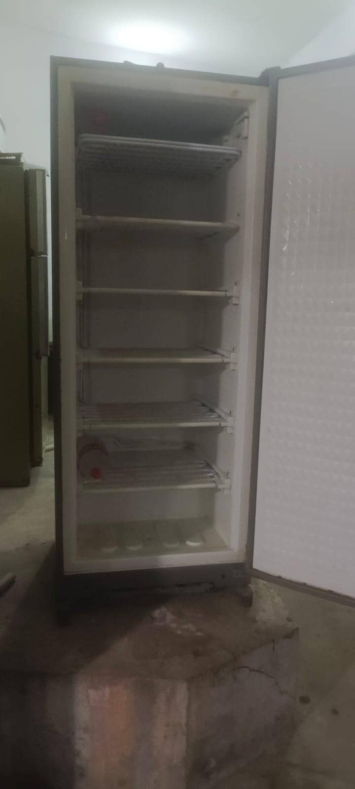 Vertical Deep Freezer 0