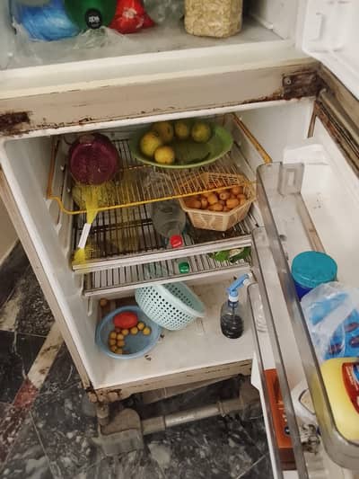 fridge