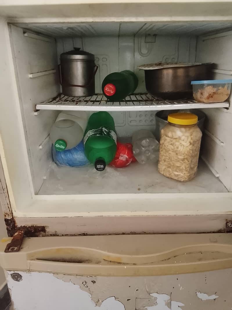 fridge 1