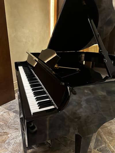Luxury Grand Piano