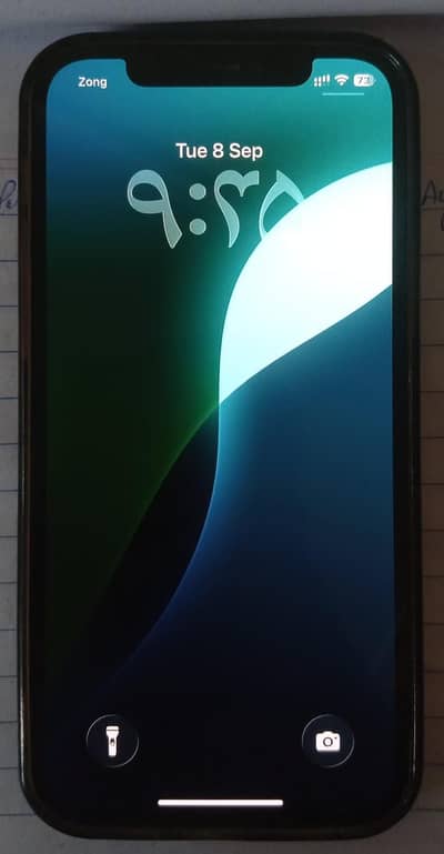 Apple iPhone 12 Pro