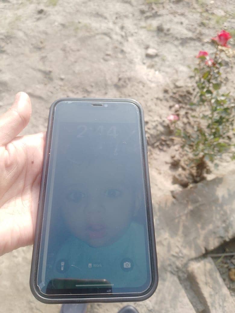 Apple iPhone 11 0