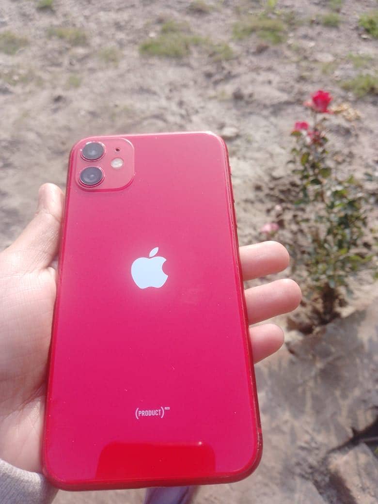 Apple iPhone 11 2