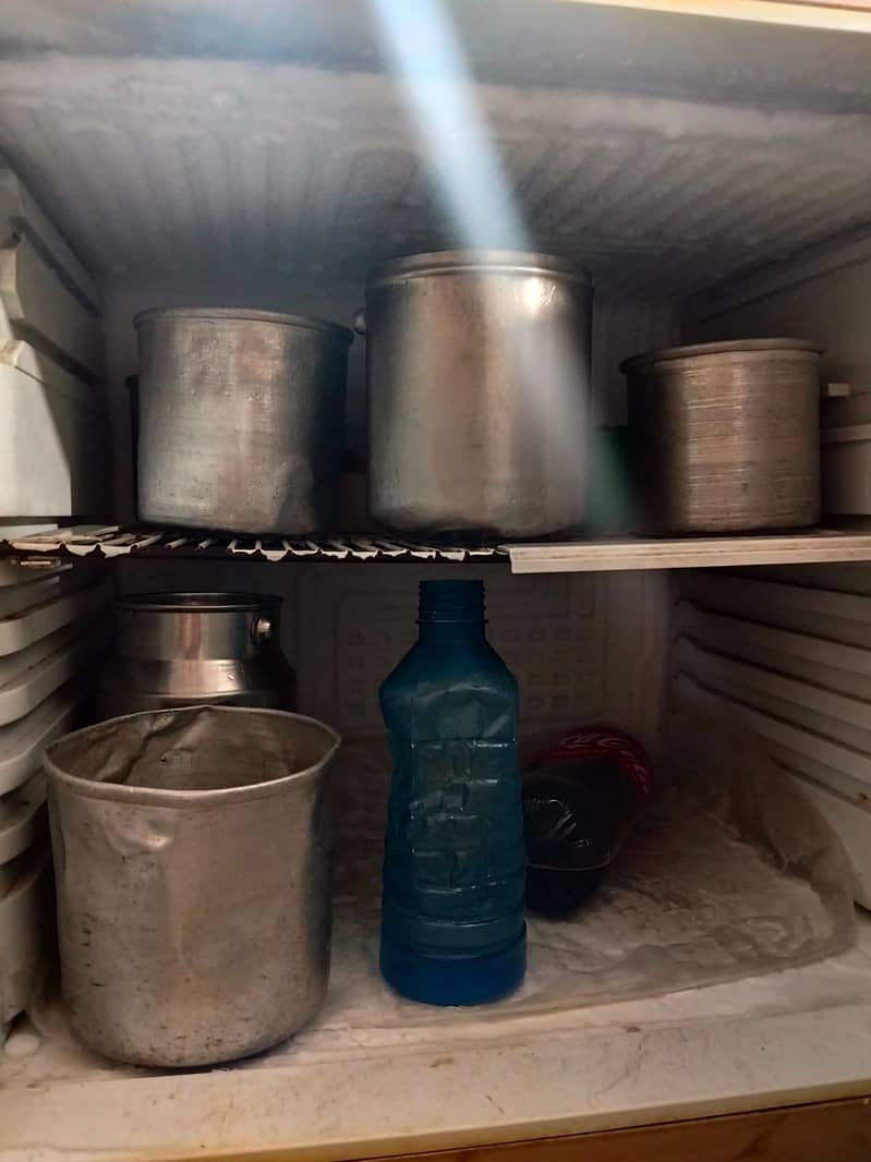 freezer 3