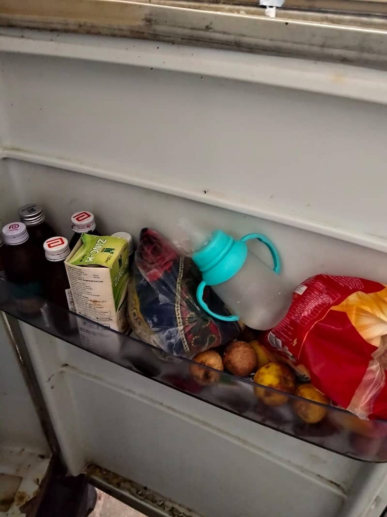 freezer 4