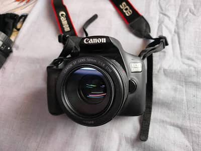 CANON D1300 with havy background blur 50mm f1.8 lens