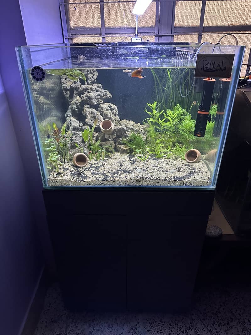 Full setup 0