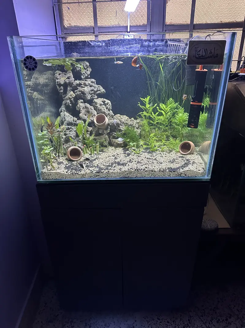 Full setup — photo 2