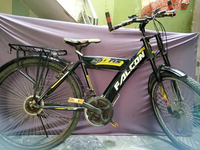 Falcon Bicycle 1