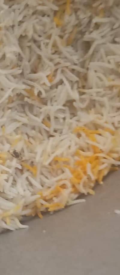 chef cook job need