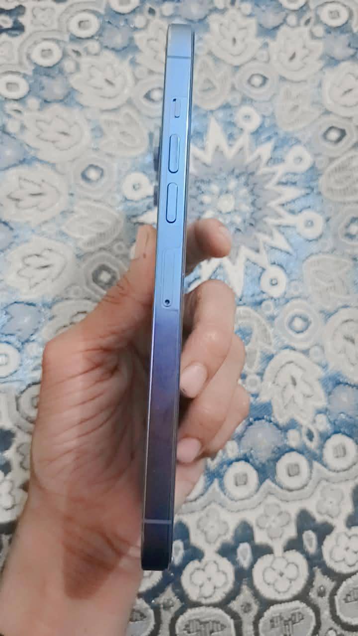 Apple iPhone 13 Pro Max 1