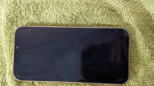 Apple iPhone 12 Pro Max