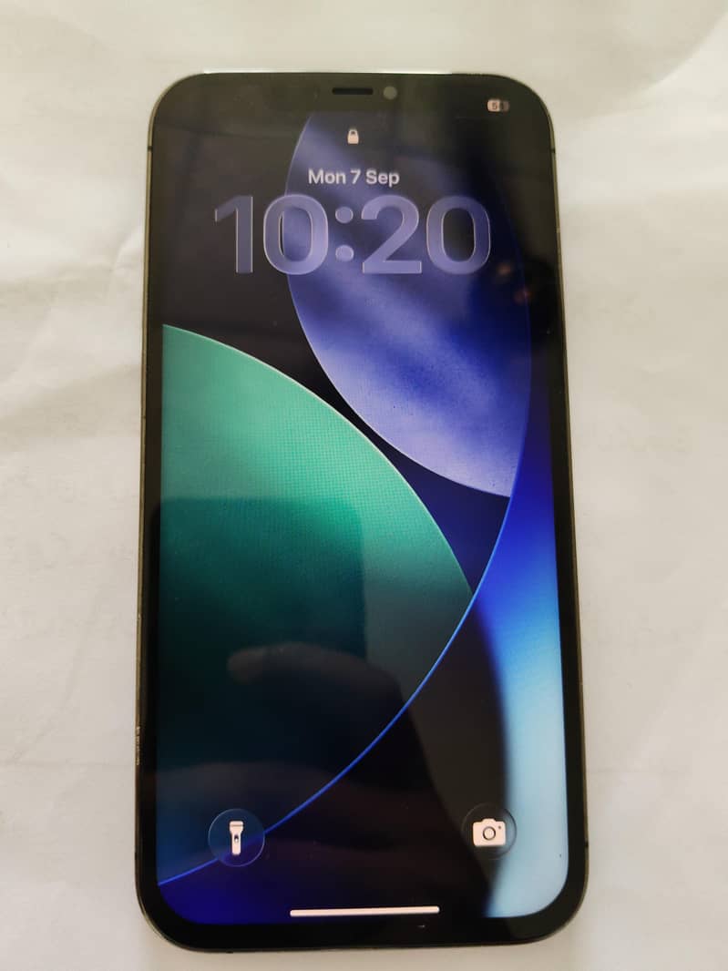 Apple iPhone 12 Pro Max 1