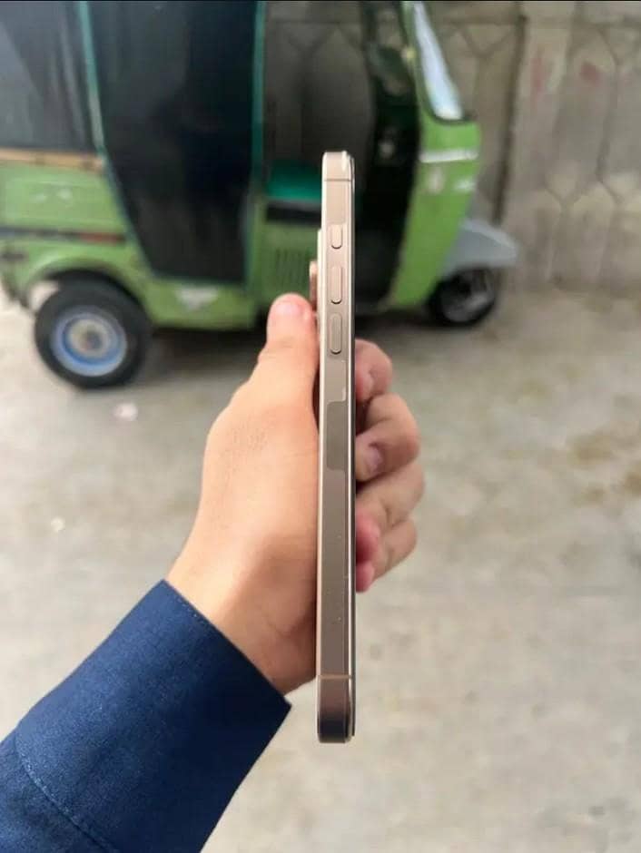 Apple iPhone 16 Pro Max 1