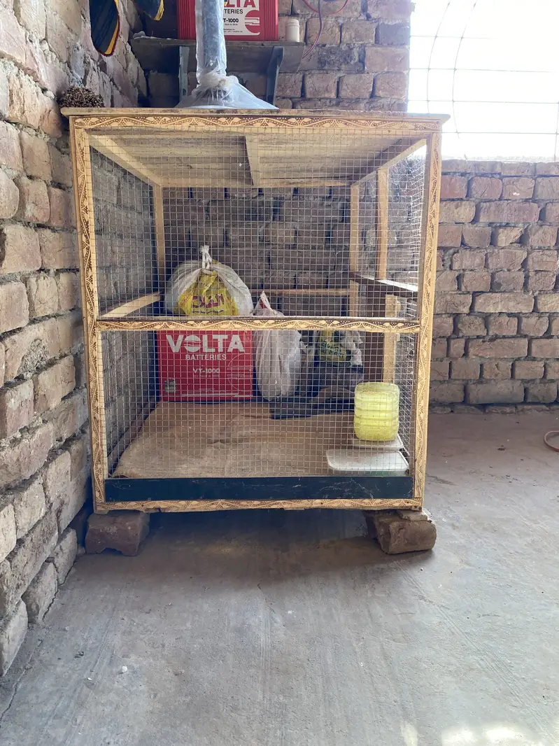 Hen cage for sale — photo 2
