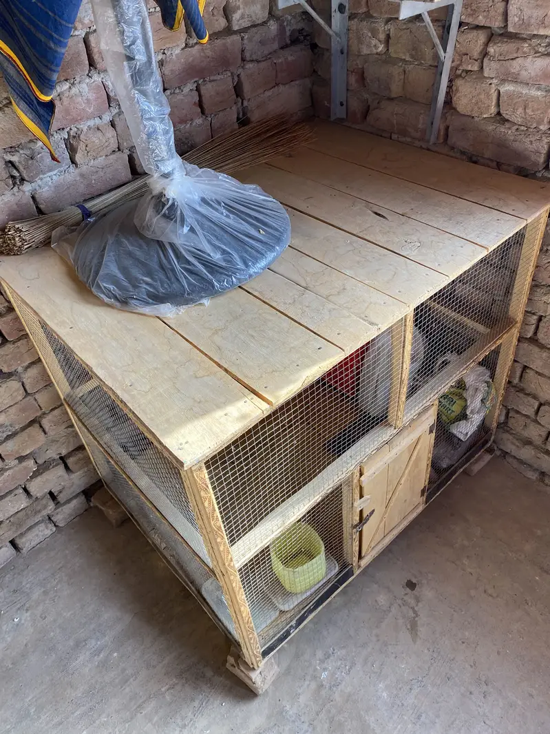 Hen cage for sale — photo 3