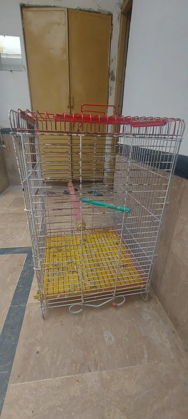 Birds Cages for sale — photo 6