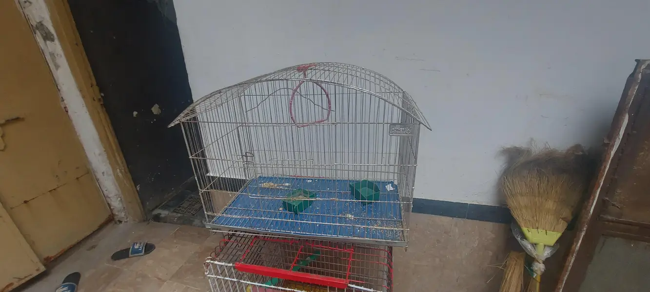 Birds Cages for sale — photo 8