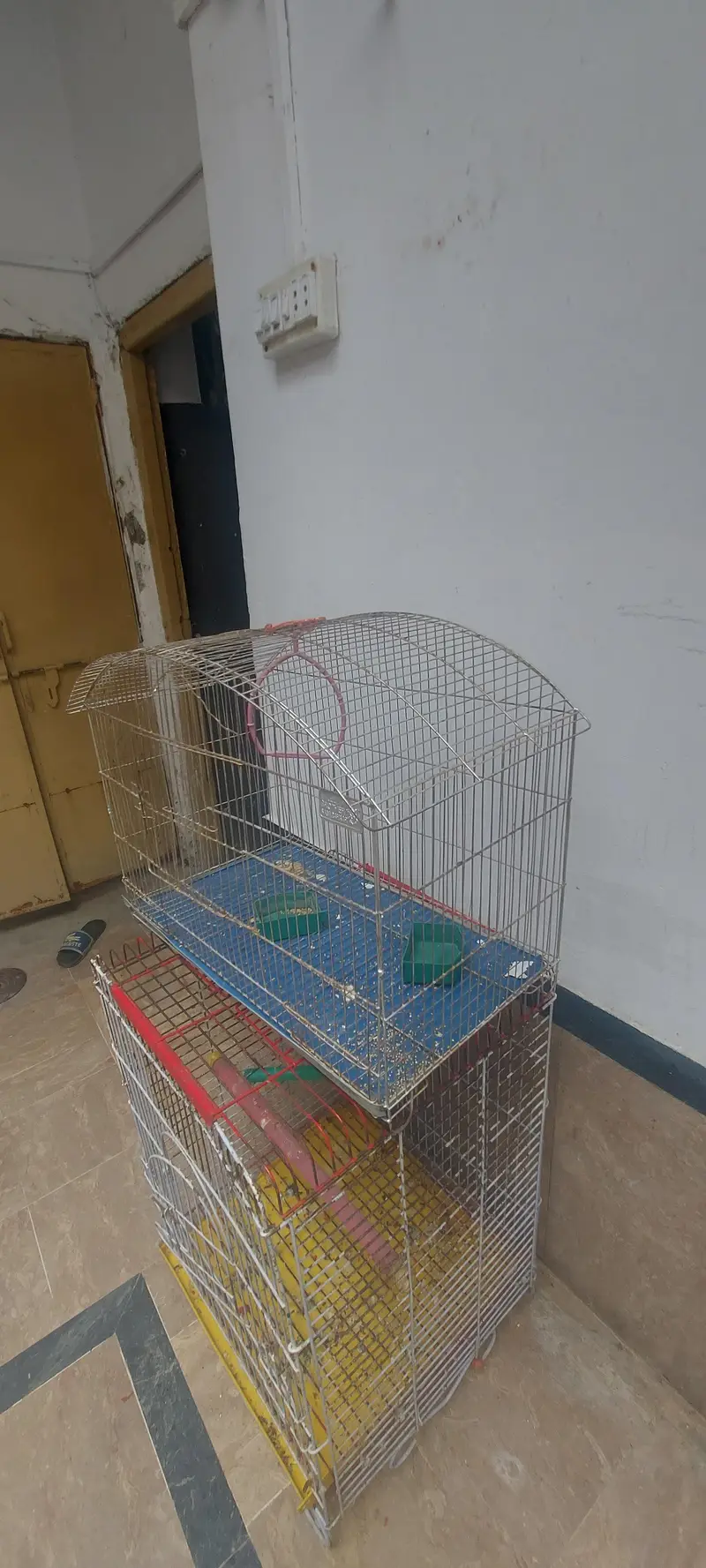 Birds Cages for sale — photo 9
