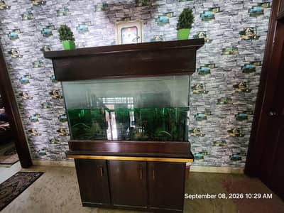aquarium