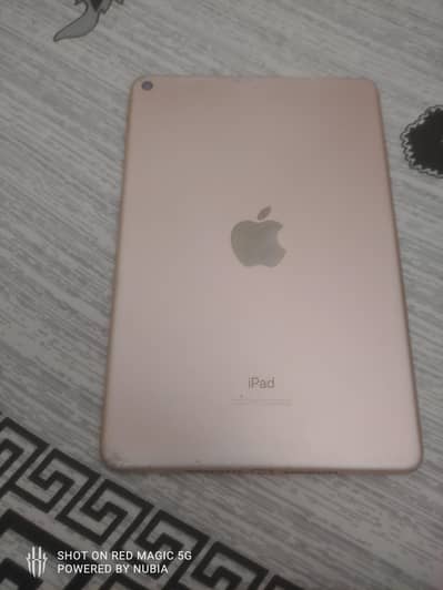 ipad mini 5