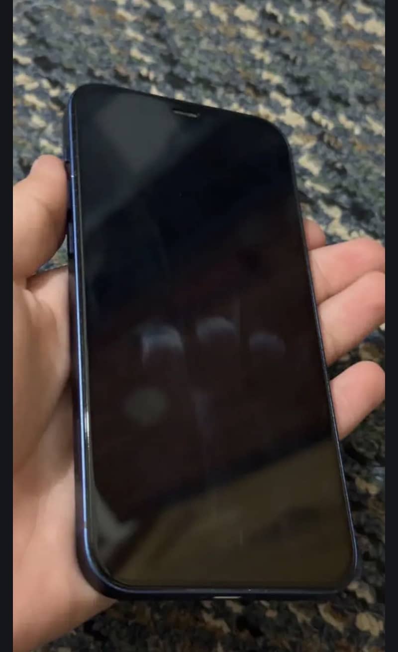 Apple iPhone 12 1