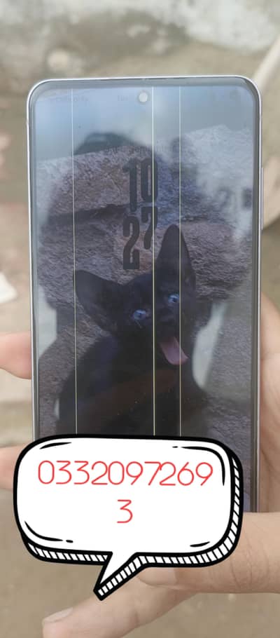 Samsung Mobile S21 FE
