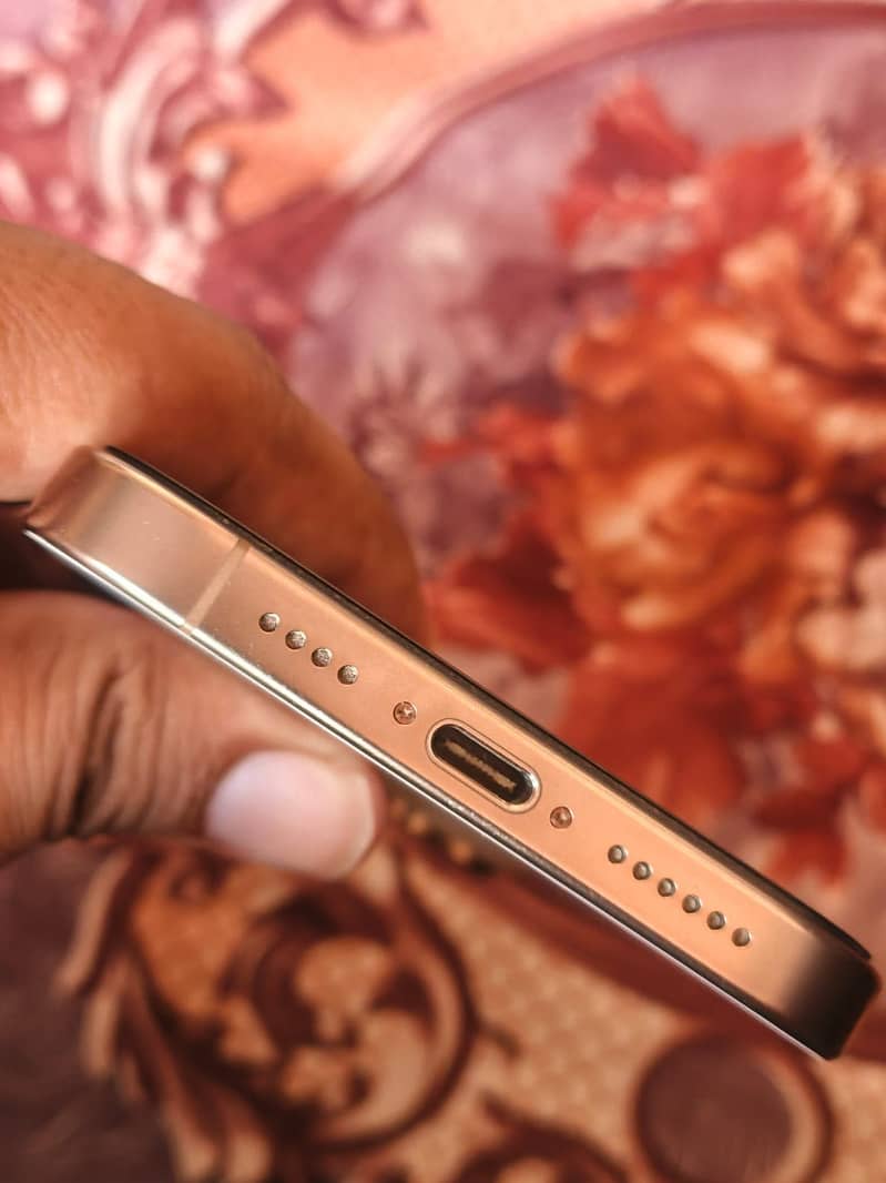 Apple iPhone 16 Pro Max 1
