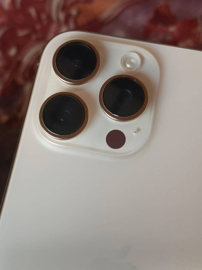 Apple iPhone 16 Pro Max 3