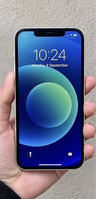 Apple iPhone 12 Exchange pocibal