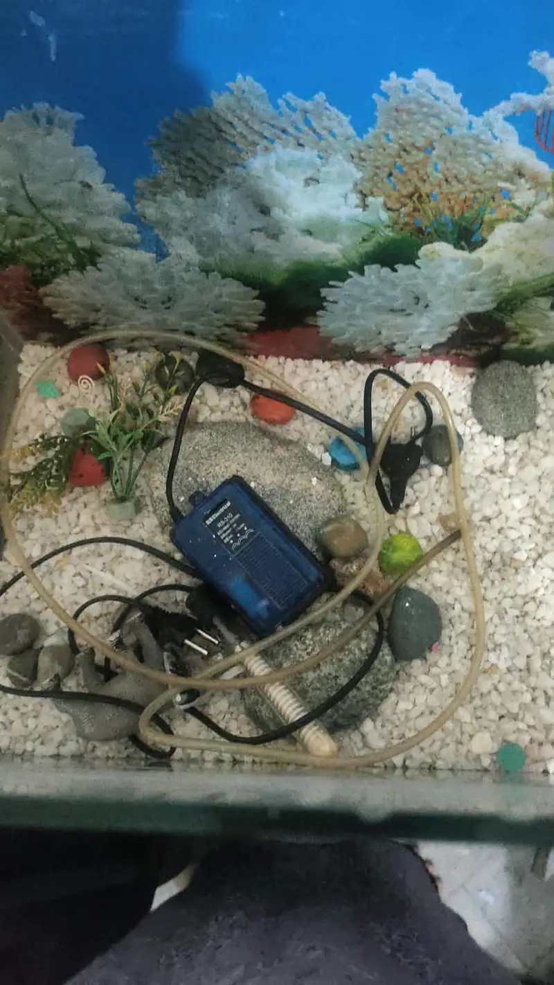 Aquarium Fish Tank with Stand + Heater + Air Pump — photo 3