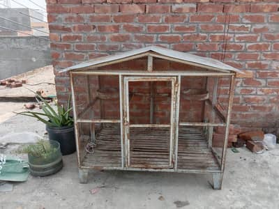 cats and Dogs cage