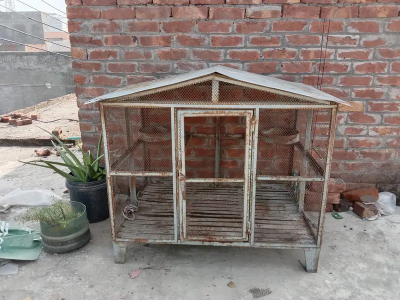 cats and Dogs cage — photo 3