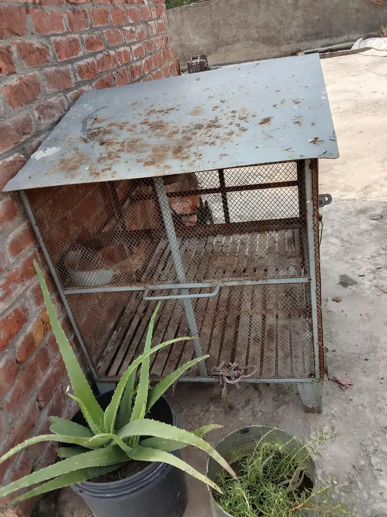 cats and Dogs cage — photo 4