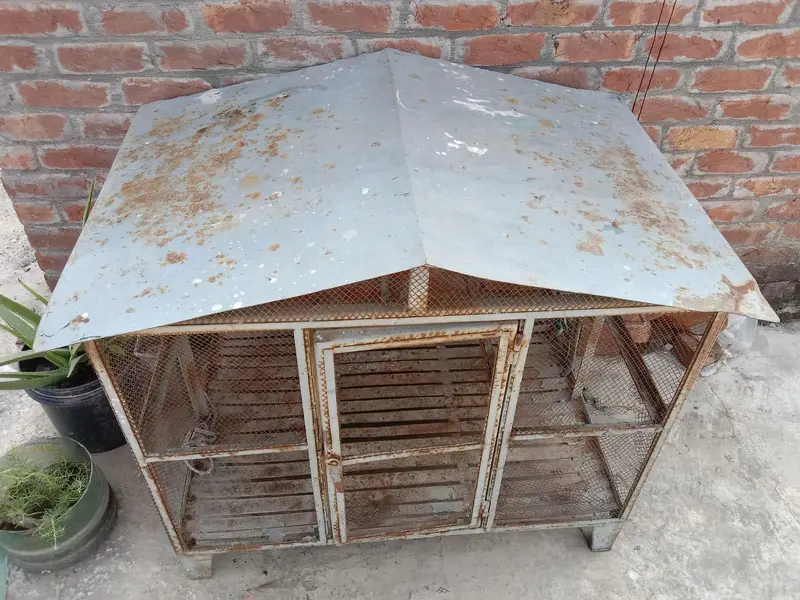 cats and Dogs cage — photo 5