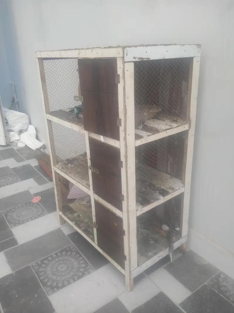 wooden & iron cage for birds