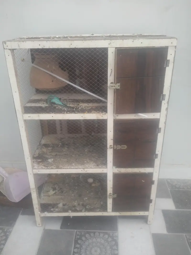 wooden & iron cage for birds — photo 2