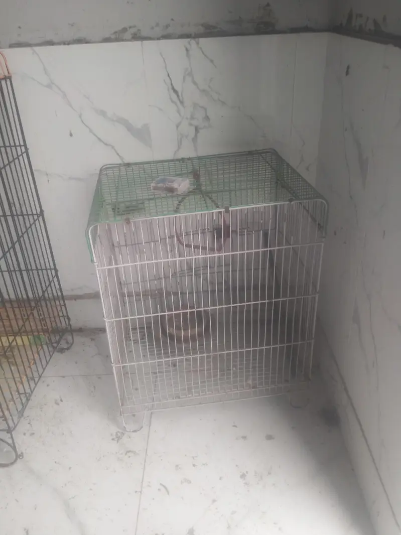 wooden & iron cage for birds — photo 3