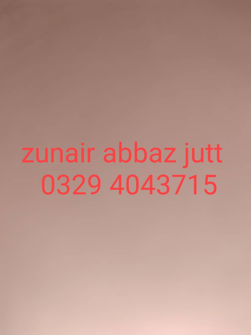 loder auto ricksha 12