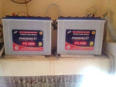 Phoenix tubeler betterys