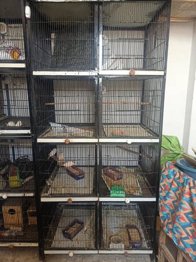 irin cage pinjra Lovebird