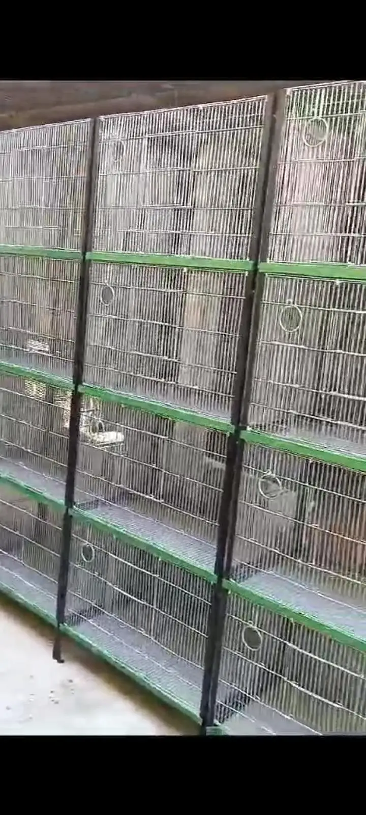 Folding cage — photo 2