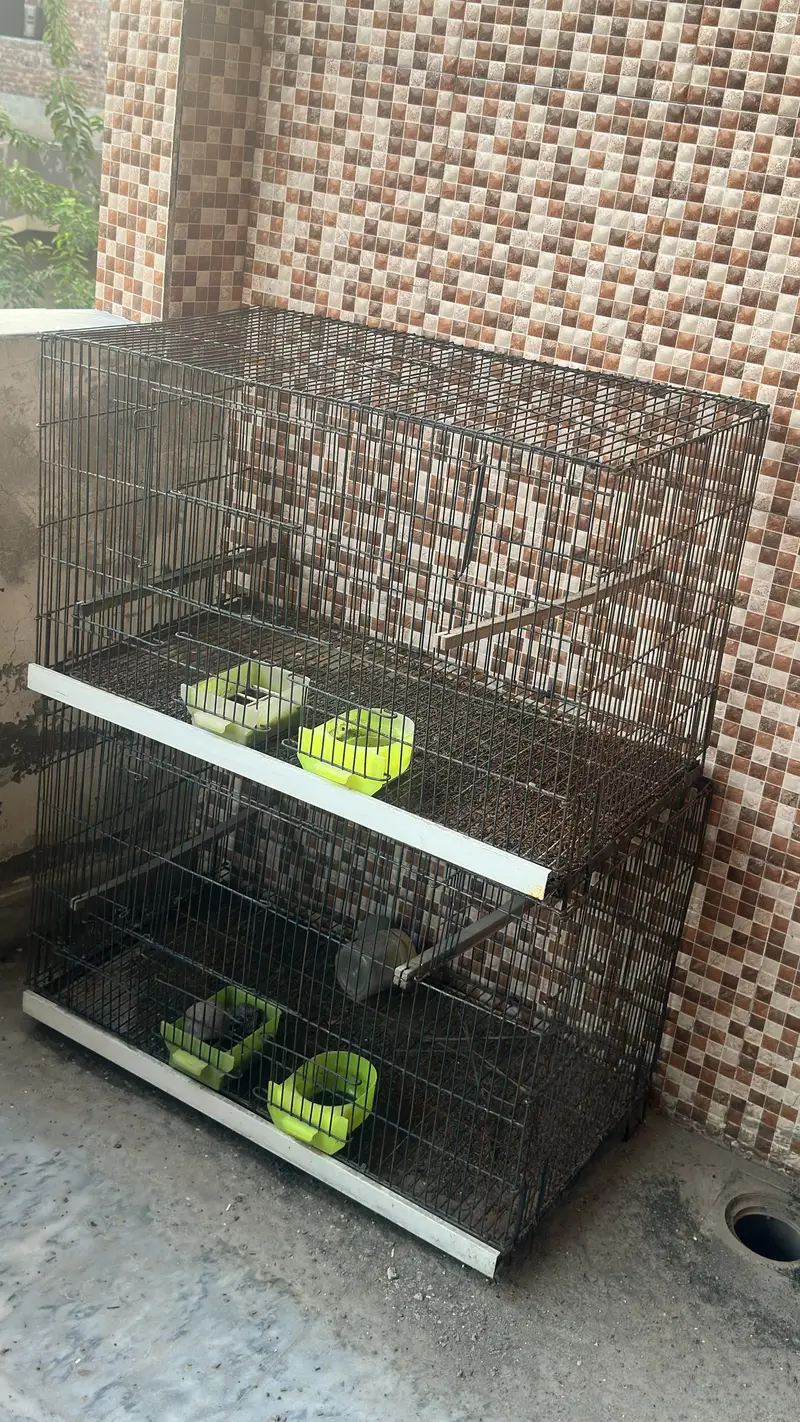 Cages