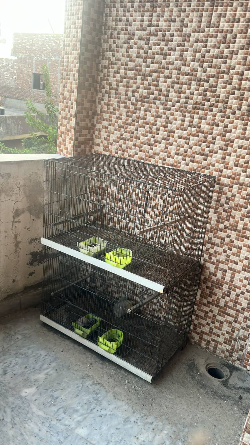 Cages 1