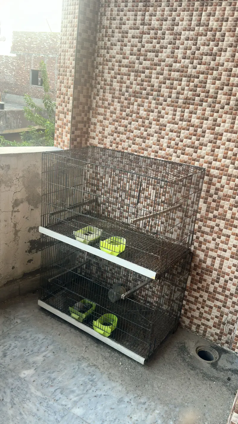 Cages — photo 2