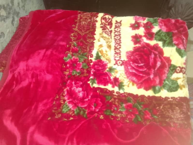 Red Blanket 3