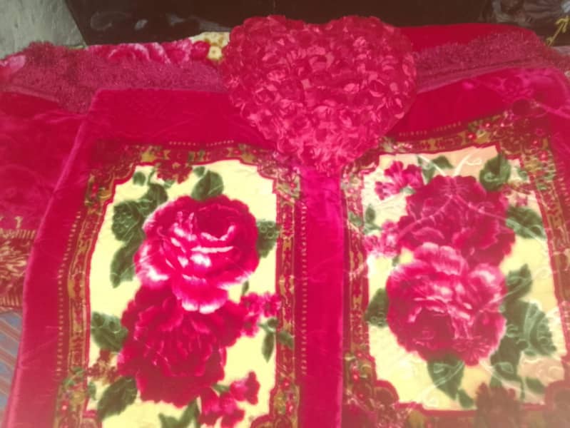 Red Blanket 5