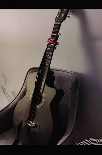 guitar with bag
