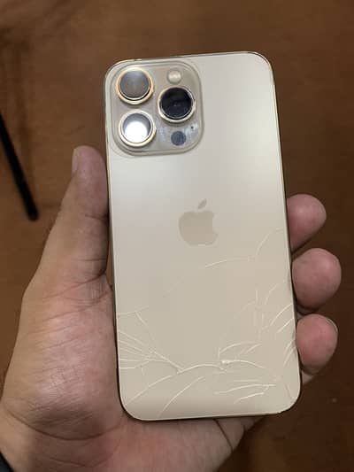 Apple iPhone 13 Pro